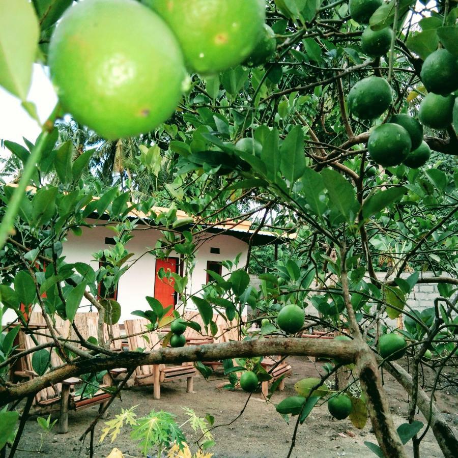 Safsia homestay Toyapakeh Exterior foto