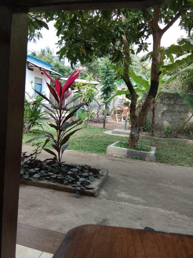 Safsia homestay Toyapakeh Exterior foto